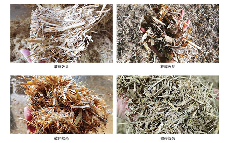 破碎后.jpg