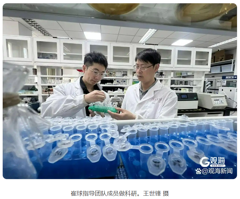 山东大学.png