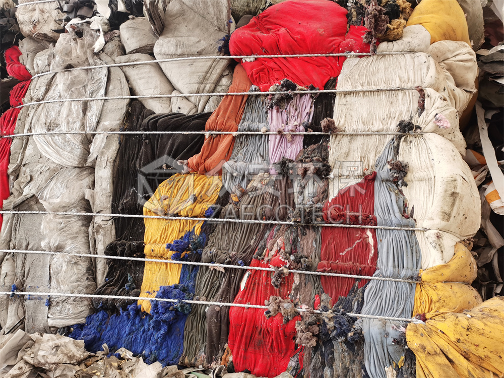 画板 1 拷贝 2.jpg